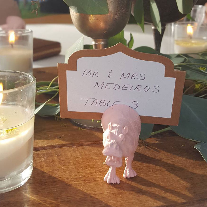 Find your inner party animal